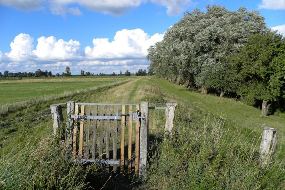 Ferienhof-Eiderdeich Wohnung Hertha Delve Exteriör bild